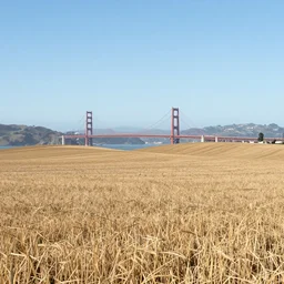 photograph of a field in the south of france san francisco