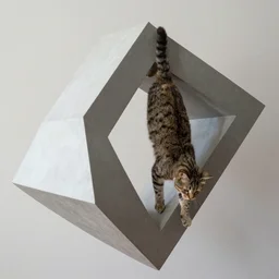 cat hanging on hyper-dimensional impossible geometric object