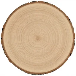 a single tree circle texture, 8 k