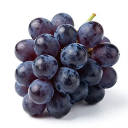 grapes of wrath