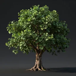 2 0 0 0 year old tree, yggrdasil, octane render, dramatic lighting, digital art
