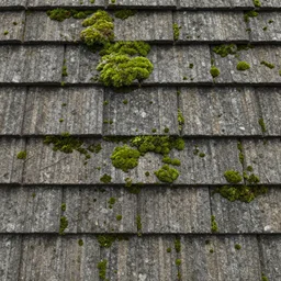 seamless texture of japanese roof shingles with moss, very realistic, very detailed, beautiful, intricate details, sharp focus, substance designer, digital painting, substance render, substance painter, marmoset, goro fujita, studio ghibli, hayao miyazaki, low poly art, unreal engine, octane render