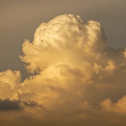 detailed photo of golden cumulus clouds, 9 0 mm, sharp focus, nikon, dramatic lighting, gradient vector, graphic design, matte painting, intrincate.