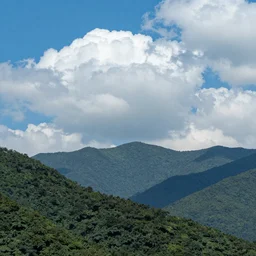 a bluish green mountain range covered in trees. large cumulonimbus clouds are seen overhead in the blue sky.