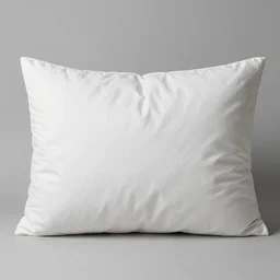 the most amazing pillow every made, product shot