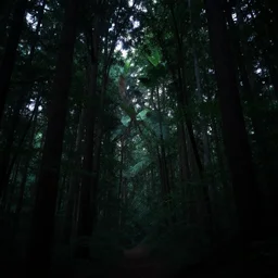a very dark dense forest at night, 8 k