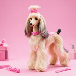 barbie grooming an afghan hound