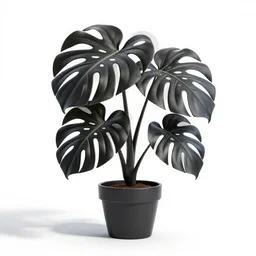 black monstera plant in pot, stylized pixar-style 3d render, full body, isolated on a pure white background, centered, entire subject in frame, sharp focus, soft studio lighting