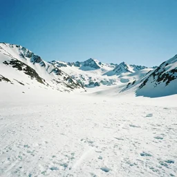 a bright and clear lomo photo of the avalanches
